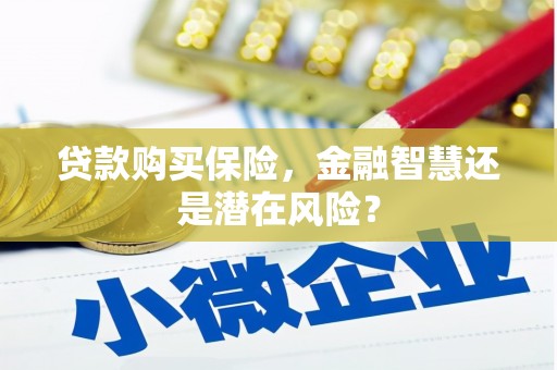 鼓楼贷款购买保险，金融智慧还是潜在风险？