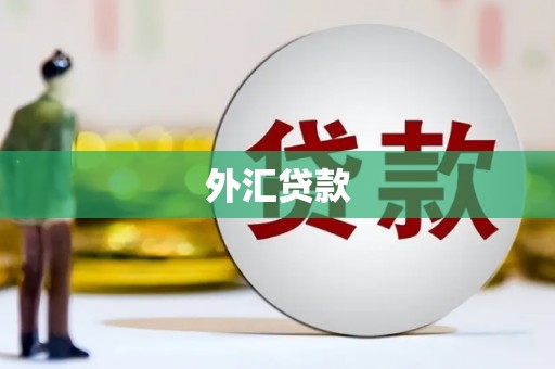 鼓楼外汇贷款