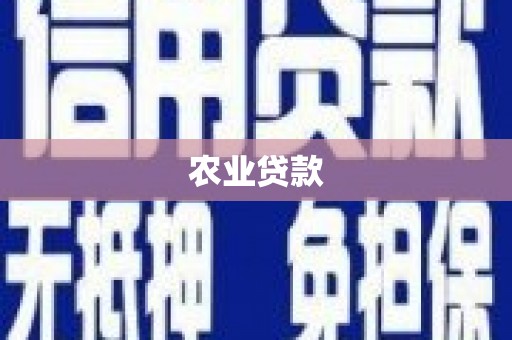 鼓楼农业贷款