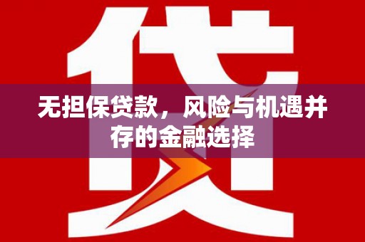 鼓楼无担保贷款，风险与机遇并存的金融选择