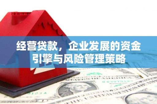 鼓楼经营贷款，企业发展的资金引擎与风险管理策略