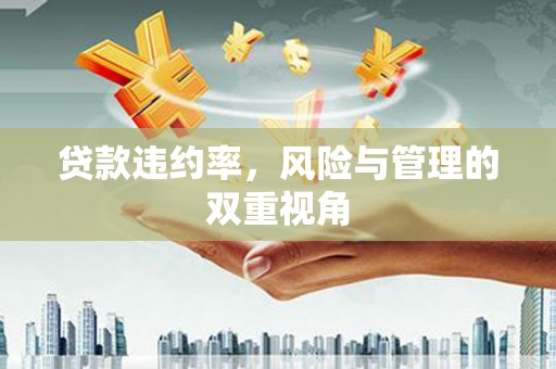 鼓楼贷款违约率，风险与管理的双重视角