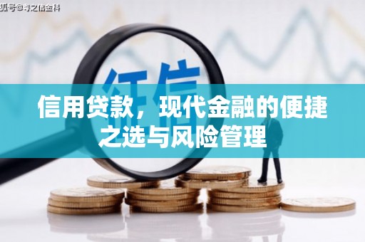 鼓楼信用贷款，现代金融的便捷之选与风险管理