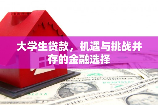 鼓楼大学生贷款，机遇与挑战并存的金融选择