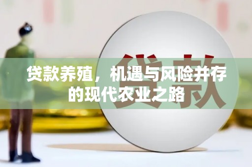 鼓楼贷款养殖，机遇与风险并存的现代农业之路