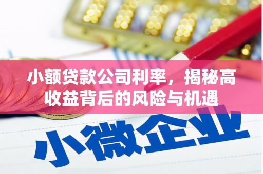 鼓楼小额贷款公司利率，揭秘高收益背后的风险与机遇