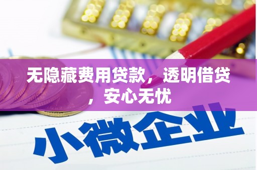 鼓楼无隐藏费用贷款，透明借贷，安心无忧