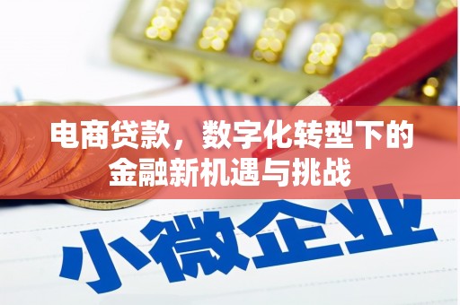 鼓楼电商贷款，数字化转型下的金融新机遇与挑战