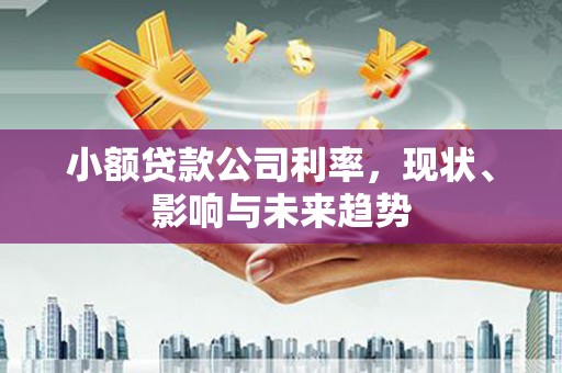 鼓楼小额贷款公司利率，现状、影响与未来趋势