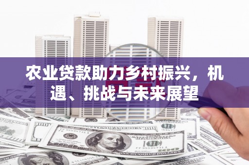 鼓楼农业贷款助力乡村振兴，机遇、挑战与未来展望