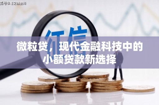 鼓楼微粒贷，现代金融科技中的小额贷款新选择