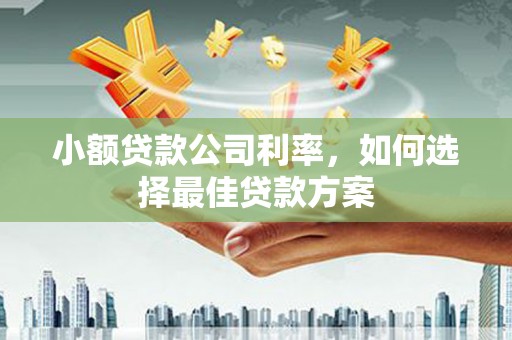 鼓楼小额贷款公司利率，如何选择最佳贷款方案
