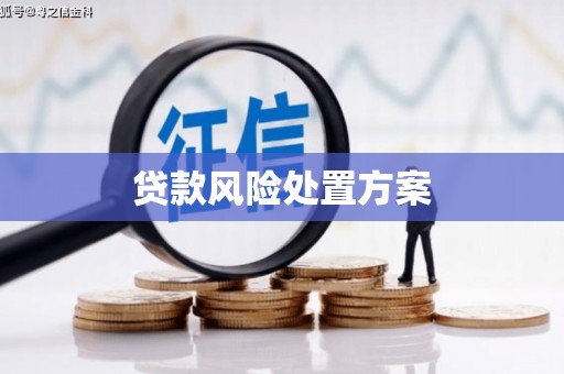 鼓楼贷款风险处置方案