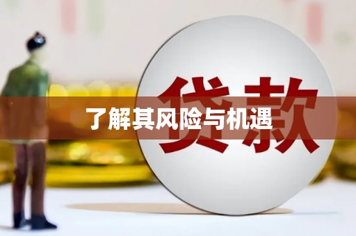 鼓楼了解其风险与机遇