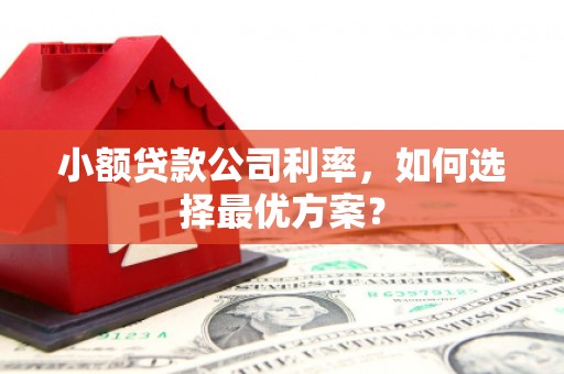 鼓楼小额贷款公司利率，如何选择最优方案？