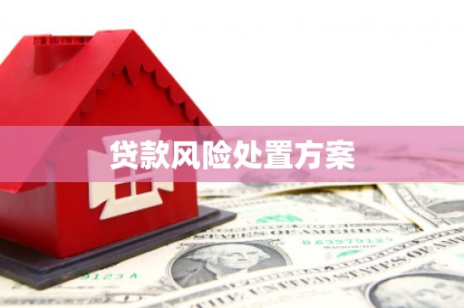 鼓楼贷款风险处置方案
