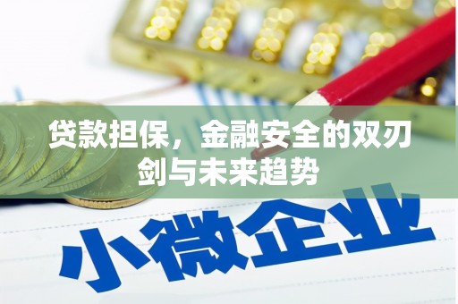鼓楼贷款担保，金融安全的双刃剑与未来趋势