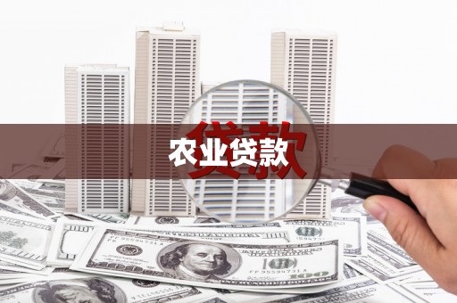 鼓楼农业贷款