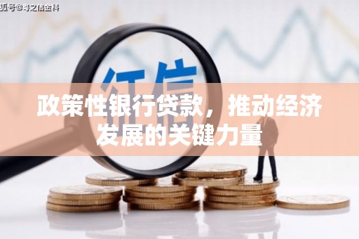 鼓楼政策性银行贷款，推动经济发展的关键力量