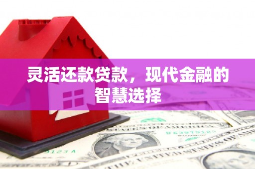 鼓楼灵活还款贷款，现代金融的智慧选择