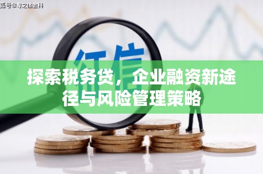 鼓楼探索税务贷，企业融资新途径与风险管理策略