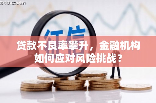鼓楼贷款不良率攀升，金融机构如何应对风险挑战？
