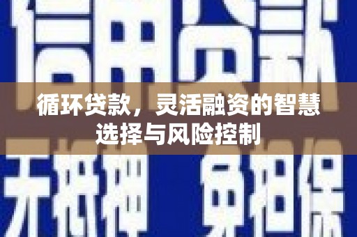鼓楼循环贷款，灵活融资的智慧选择与风险控制