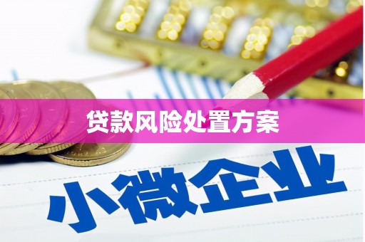鼓楼贷款风险处置方案