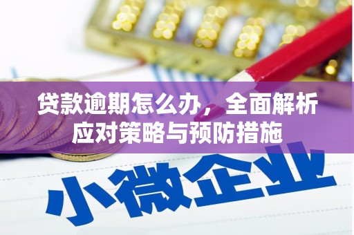 鼓楼贷款逾期怎么办，全面解析应对策略与预防措施
