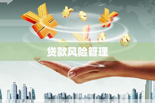 鼓楼贷款风险管理