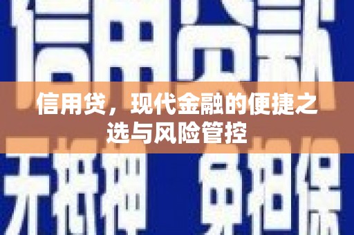 鼓楼信用贷，现代金融的便捷之选与风险管控