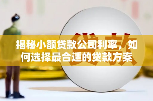 鼓楼揭秘小额贷款公司利率，如何选择最合适的贷款方案