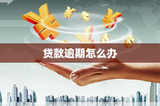 鼓楼贷款逾期怎么办