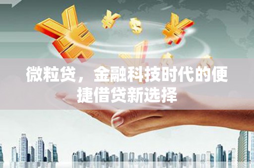 鼓楼微粒贷，金融科技时代的便捷借贷新选择