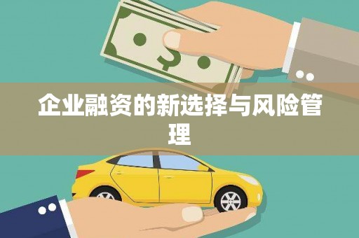 鼓楼企业融资的新选择与风险管理