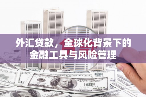 鼓楼外汇贷款，全球化背景下的金融工具与风险管理