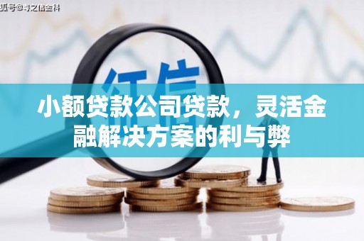 鼓楼小额贷款公司贷款，灵活金融解决方案的利与弊
